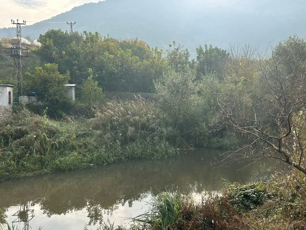 Yeşilırmak’ta Temizlik 2