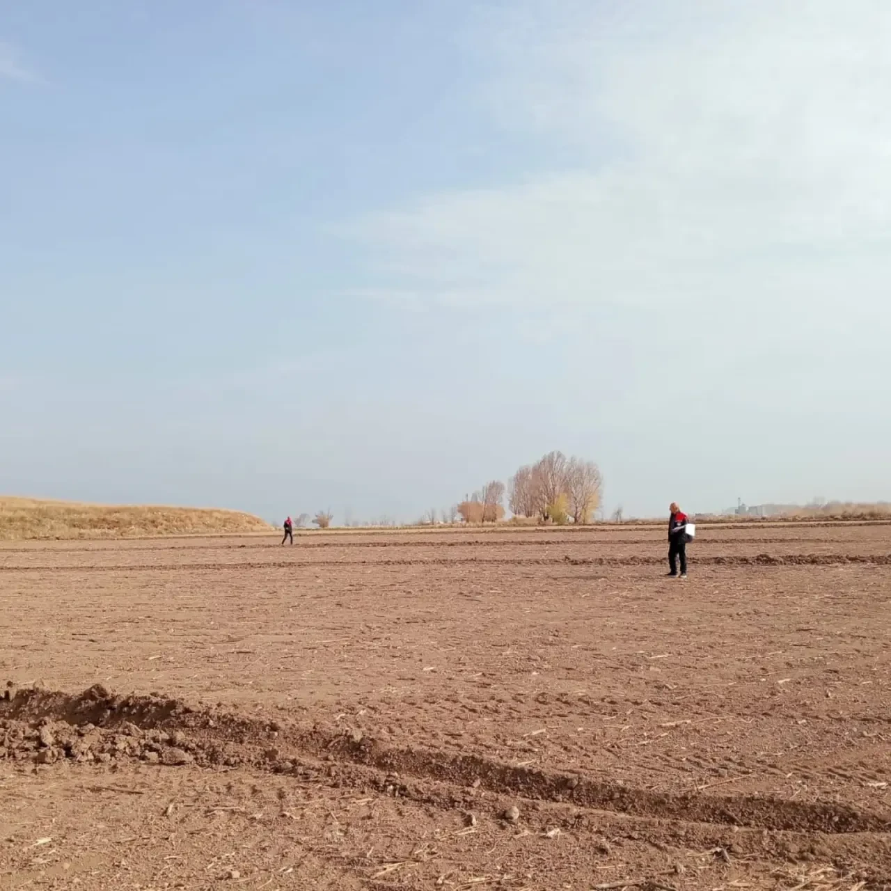 Üretim İçin Sahadalar 2