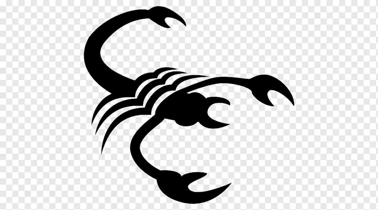 12 Kasım 2025 Günlük Burç Yorumları: Yıldızlar Hangi Kapıyı Aralıyor? 8