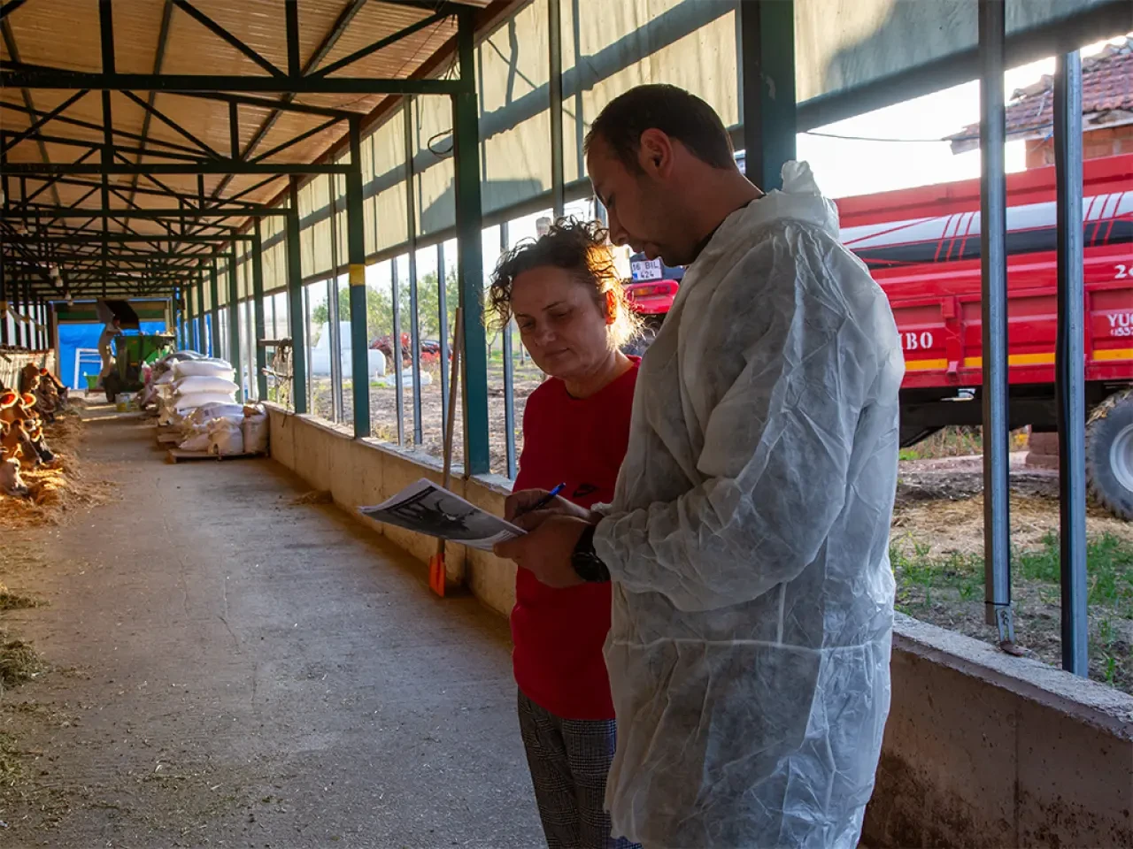 Merzifon’da Jersey Çiftliğine Teknik Dokunuş 3