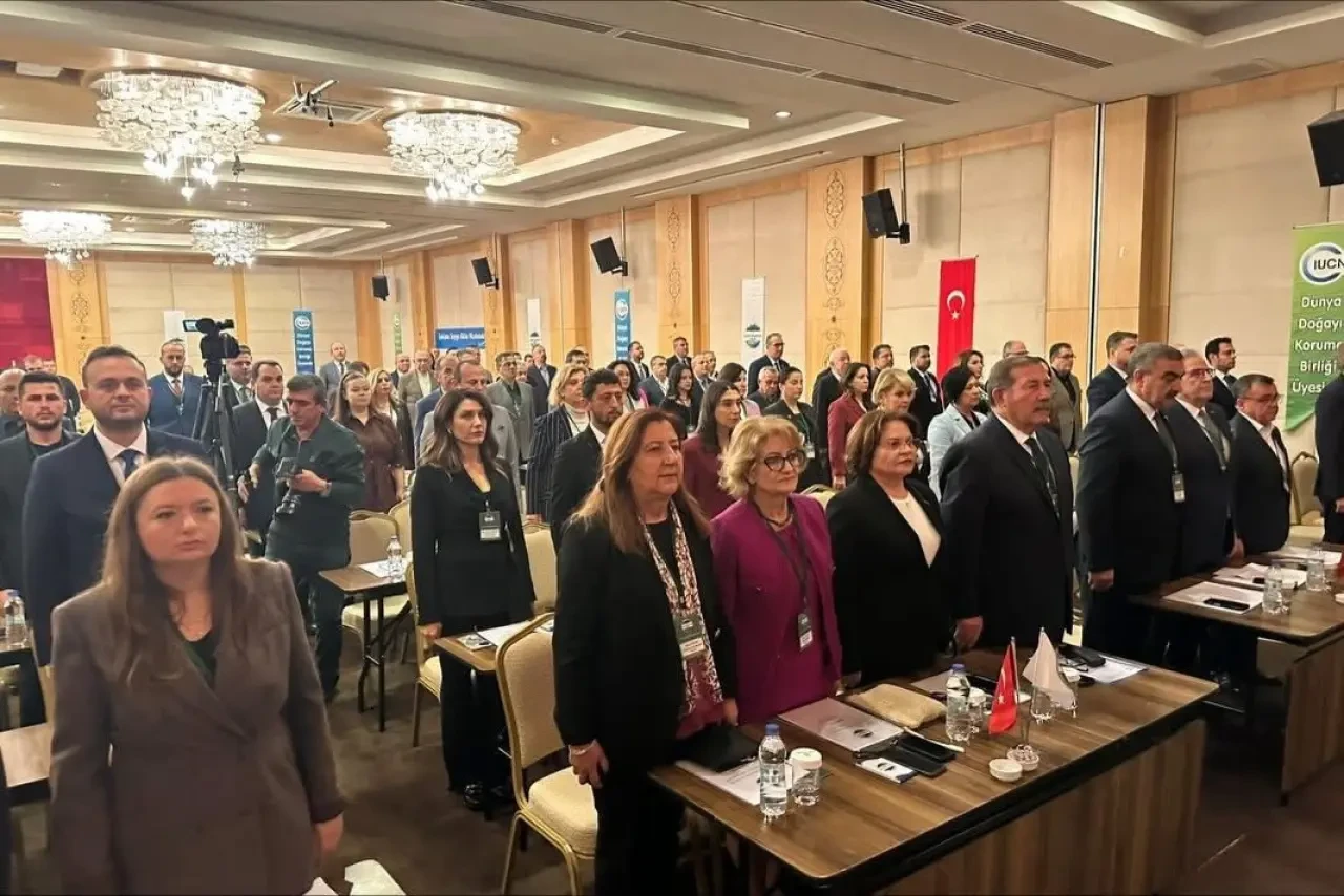 Gümüşhacıköy’e AB Destekli Yeşil Atılım! 3