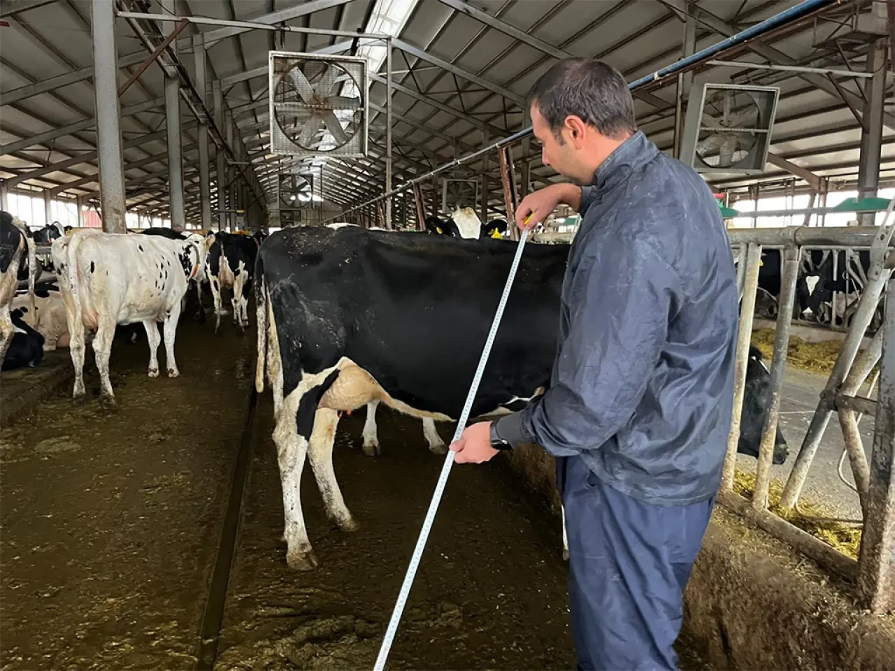 Amasya DSYB’den Tip Sınıflandırma Çalışması 2