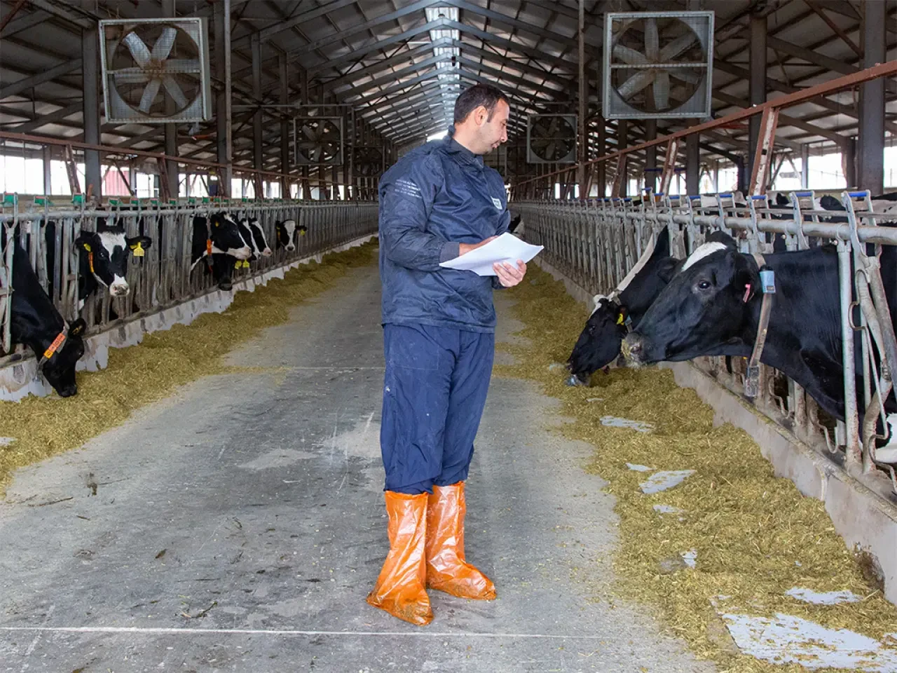 Amasya DSYB’den Tip Sınıflandırma Çalışması 3