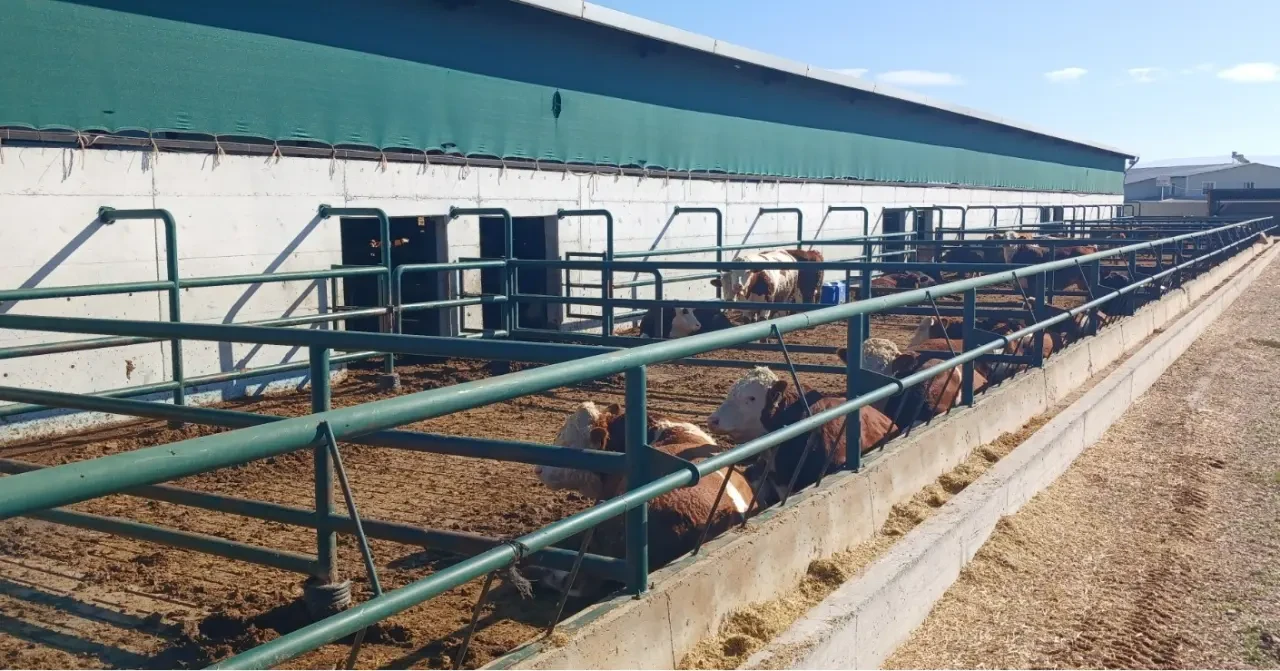 Suluova TDİ Besi OSB’de 386 Milyon TL’lik Yatırım Devam Ediyor 3