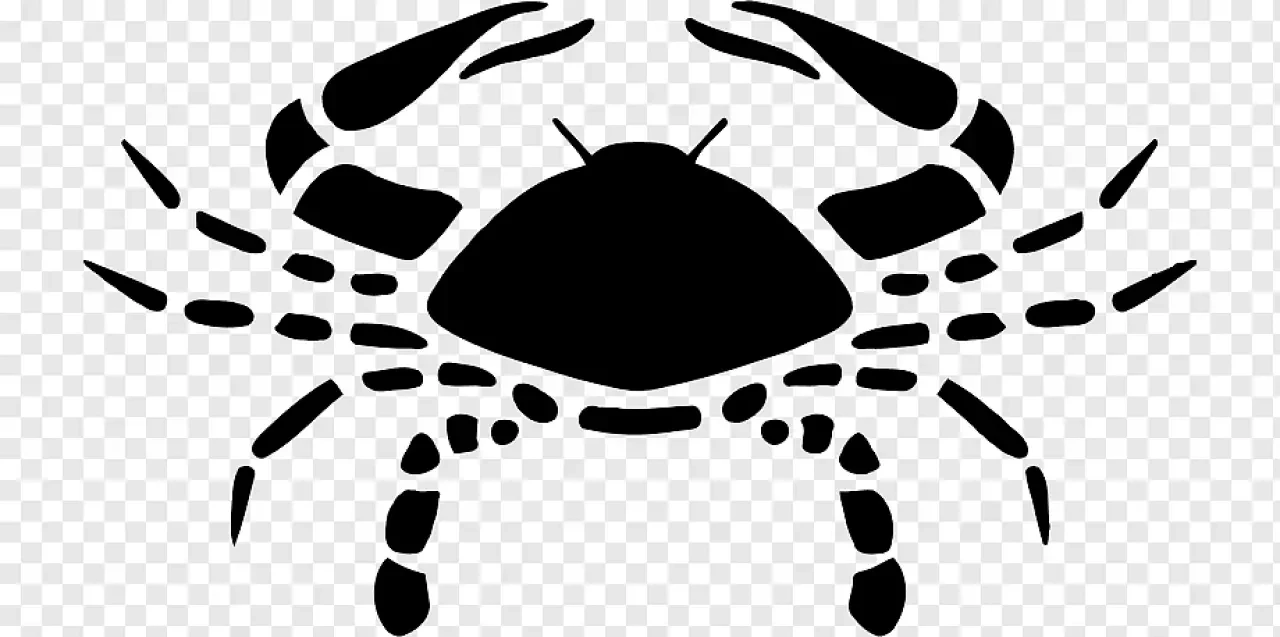 12 Kasım 2025 Günlük Burç Yorumları: Yıldızlar Hangi Kapıyı Aralıyor? 4