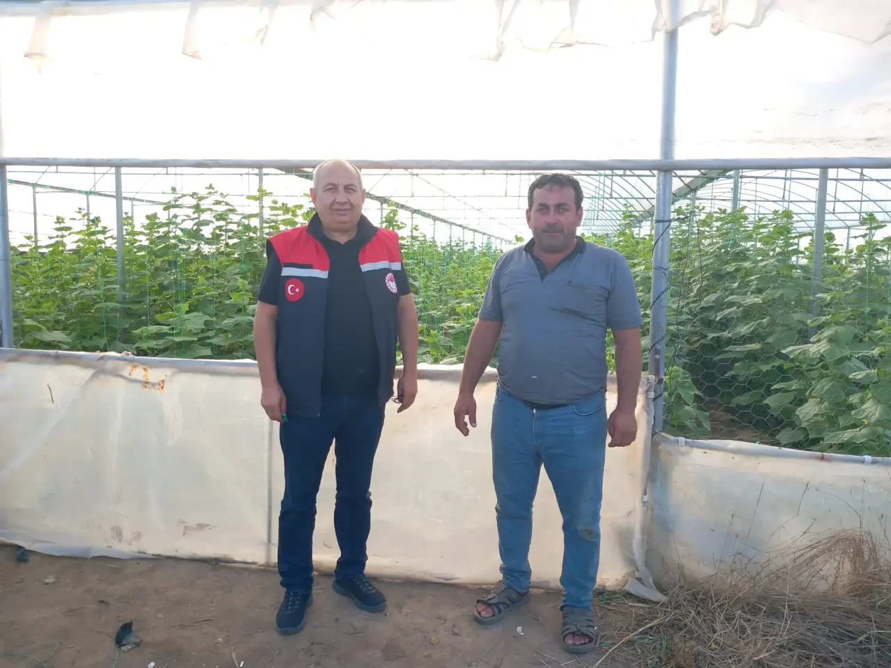 Taşova’da TAKE Projesi Kapsamında Hıyar ve Marul Üretimi Denetlendi 1