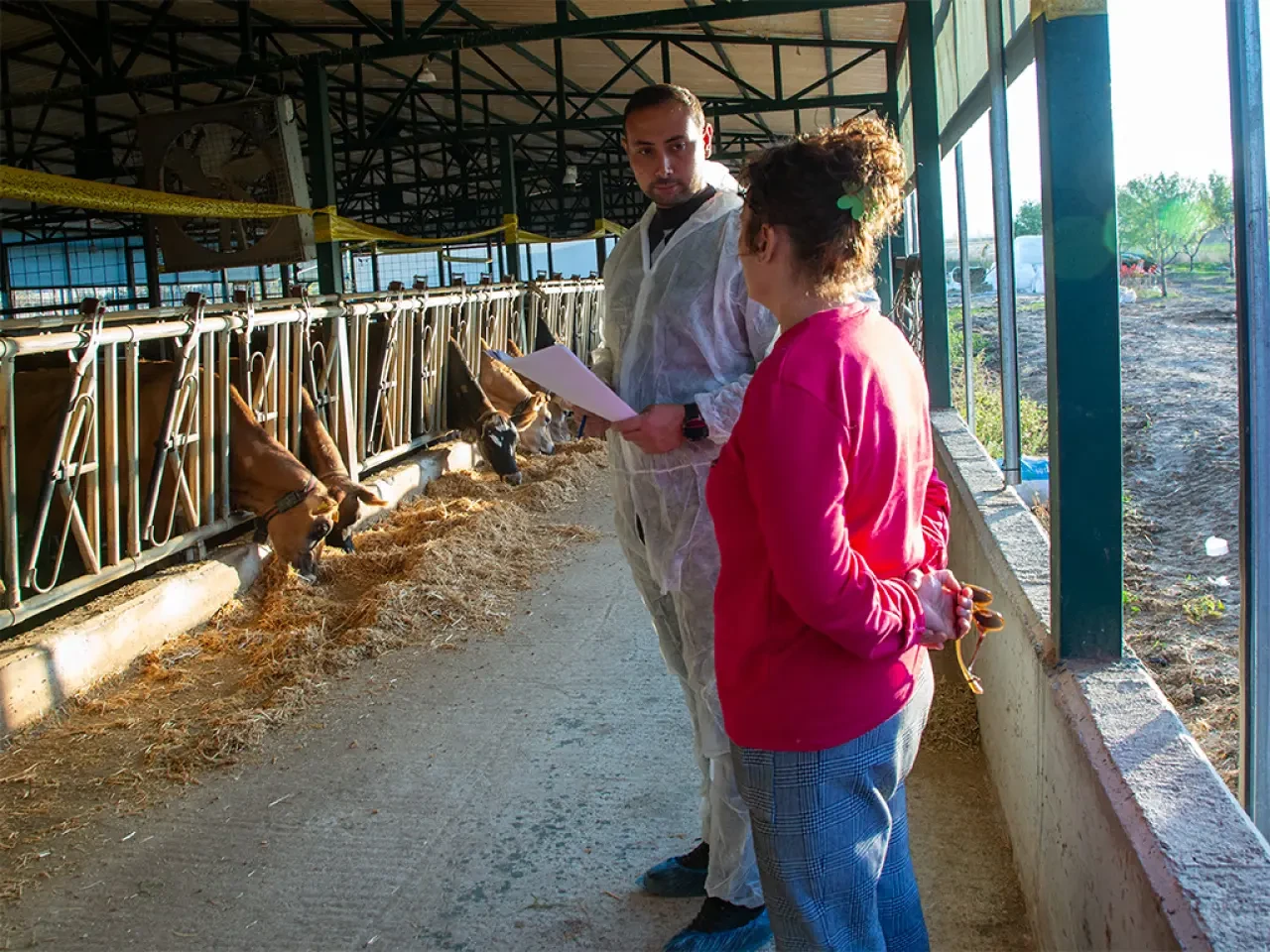Merzifon’da Jersey Çiftliğine Teknik Dokunuş 4