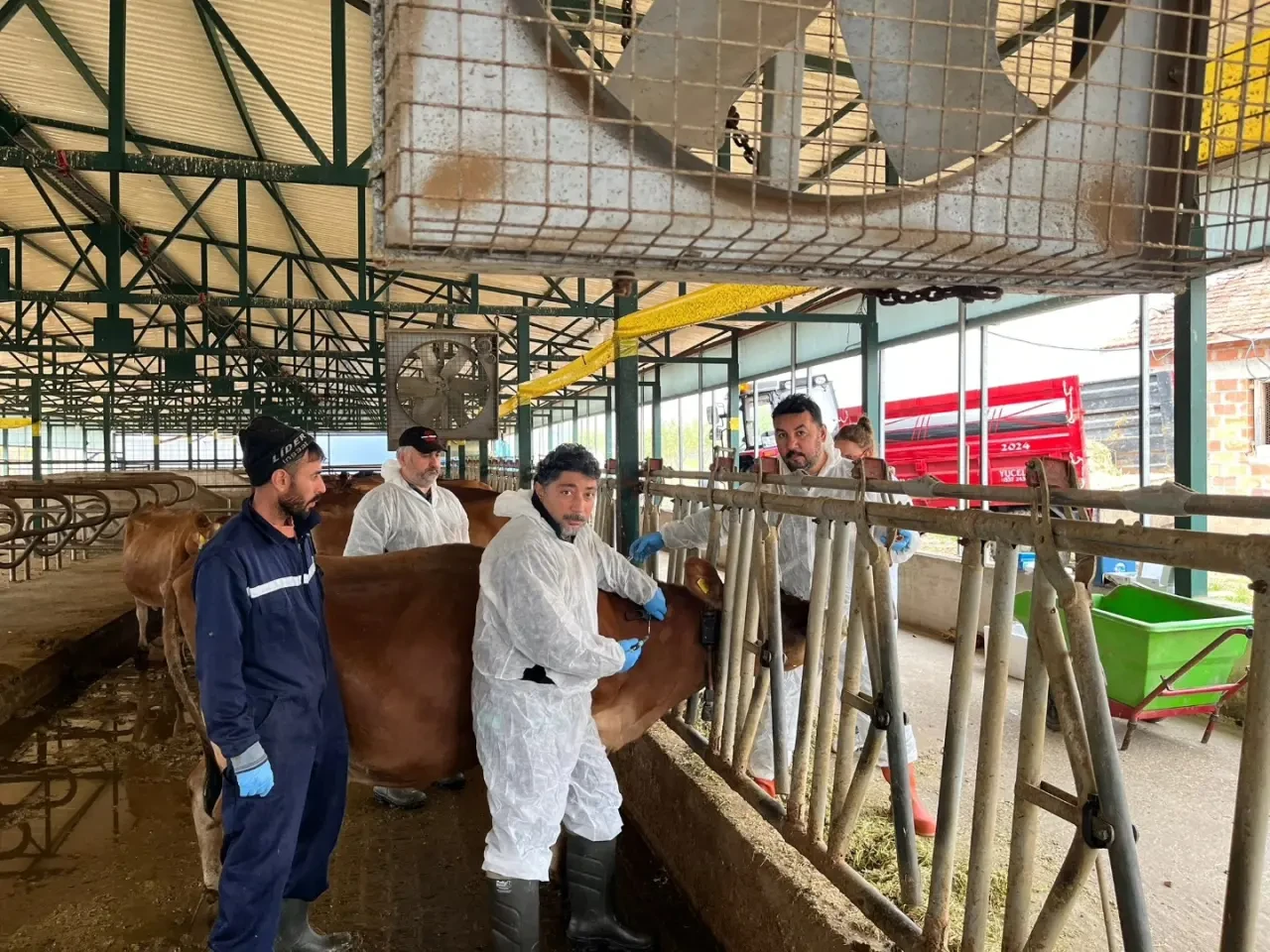 Merzifon’da Ari İşletme Kontrolü ve Numune Çalışması 2