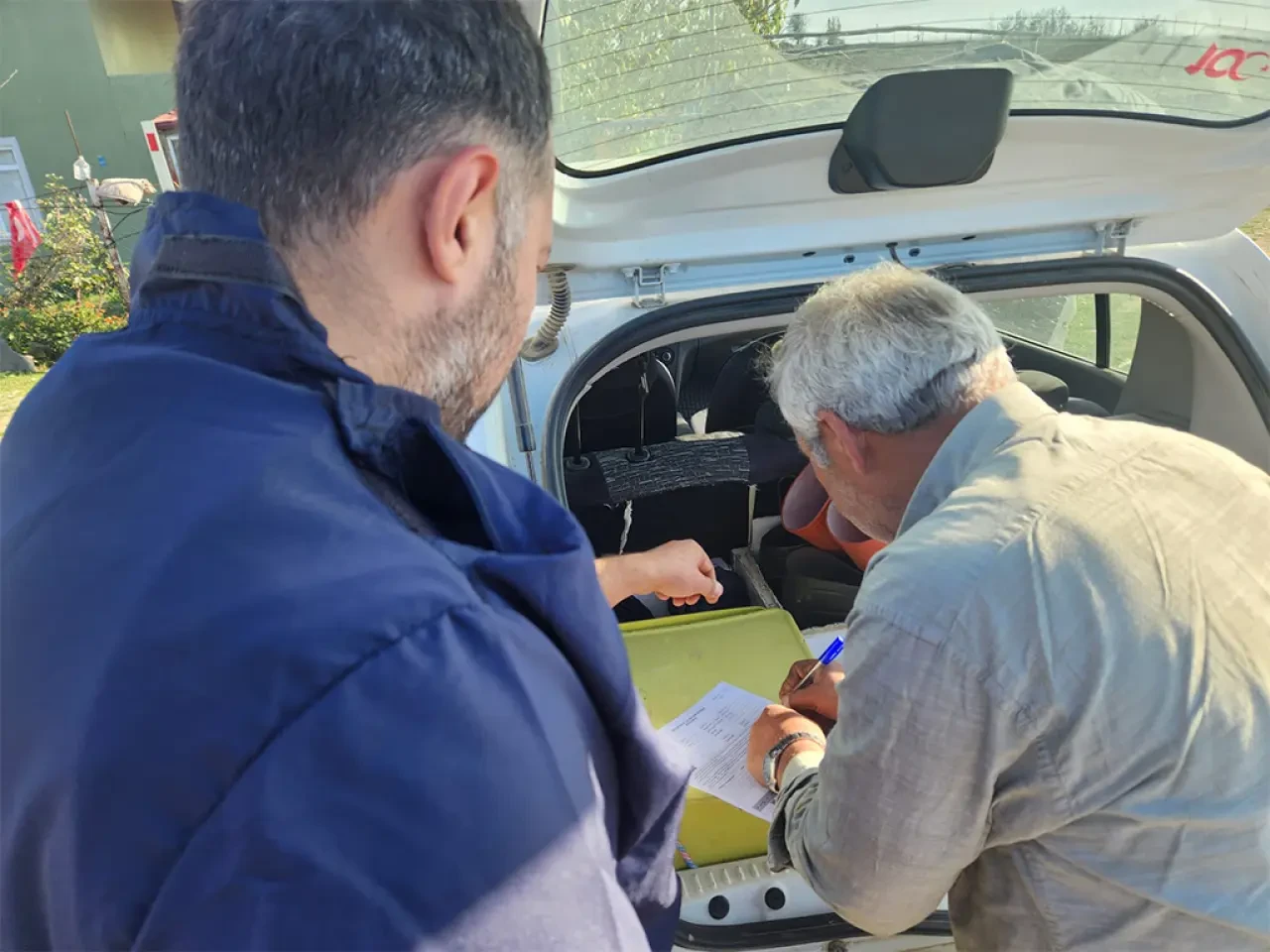 Amasya DSYB Buzağı Küpeleme Çalışmaları Aralıksız Devam Ediyor 1