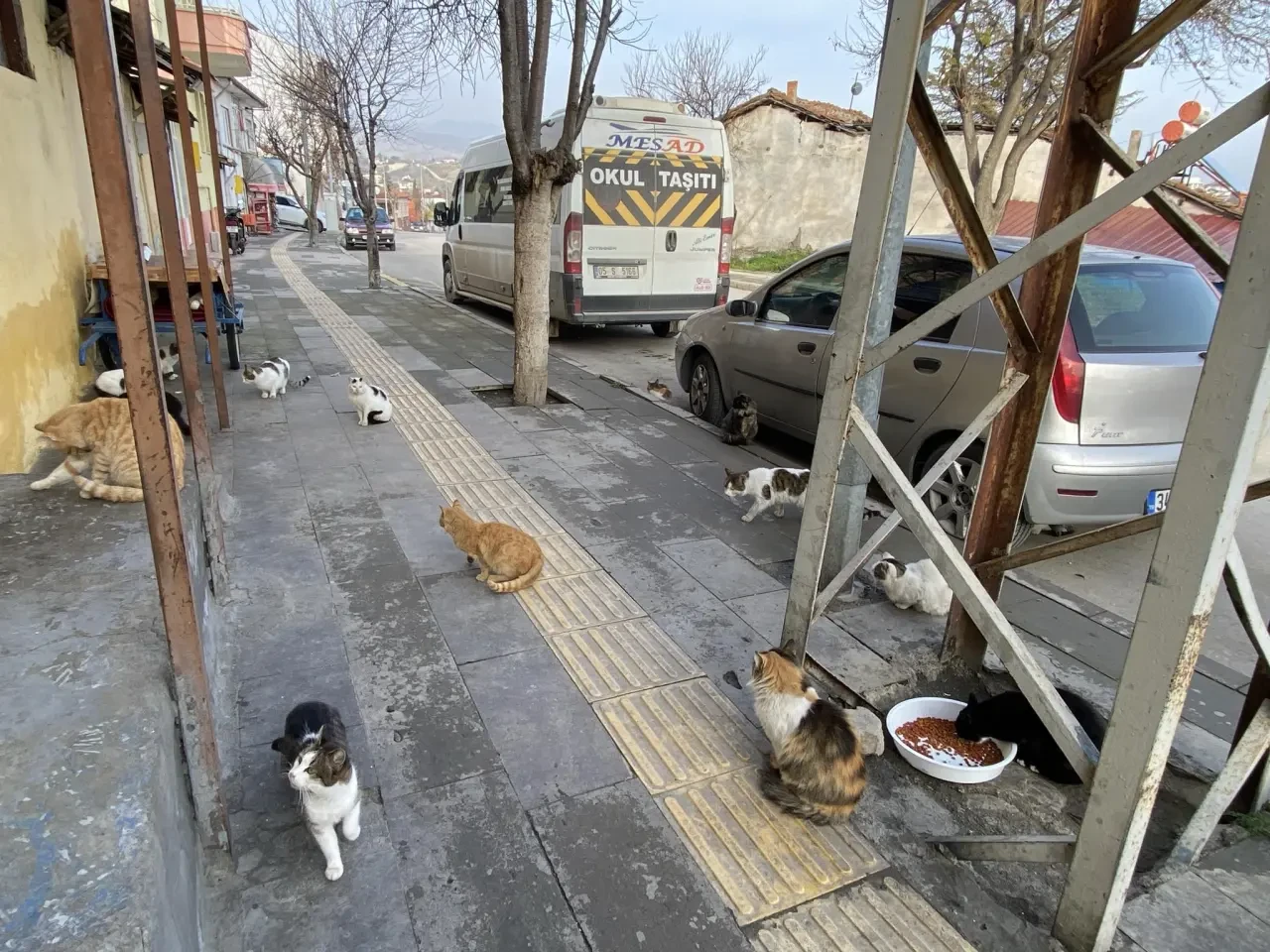 Merzifon’da Sessiz Kahraman! 1