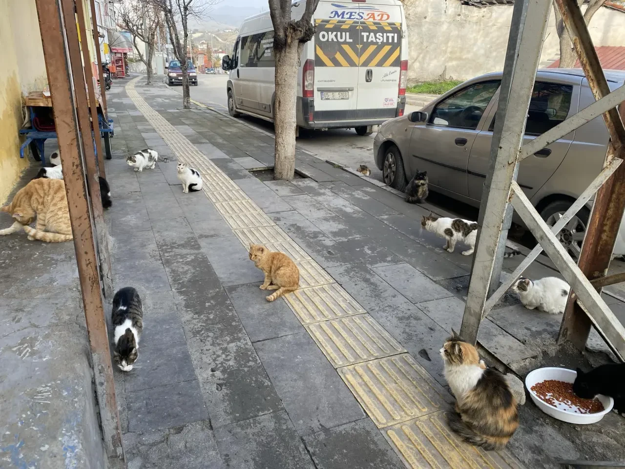 Merzifon’da Sessiz Kahraman! 3