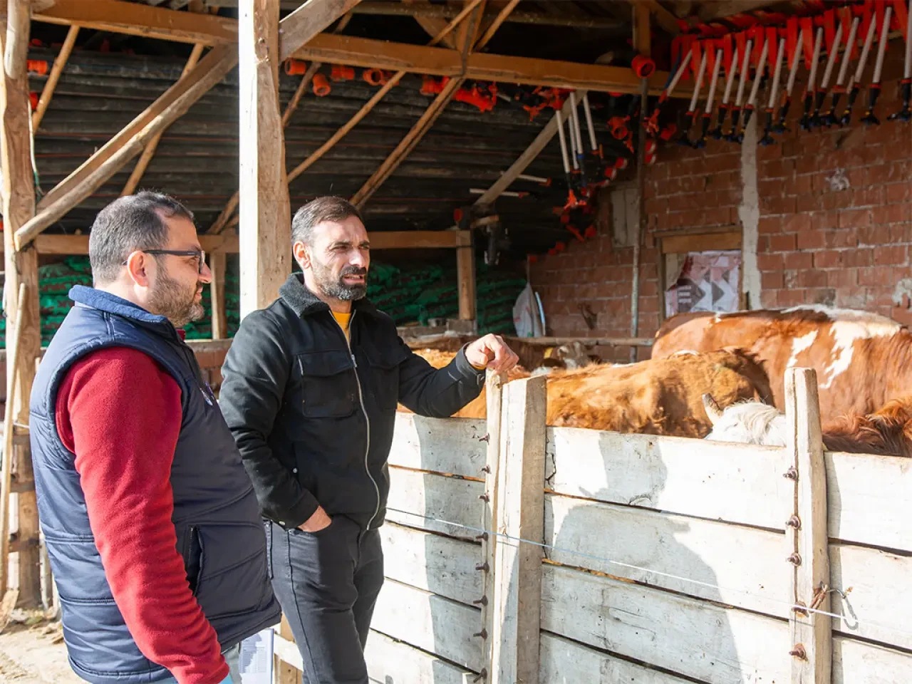 Amasya DSYB’den Üreticiye Yerinde Destek 3