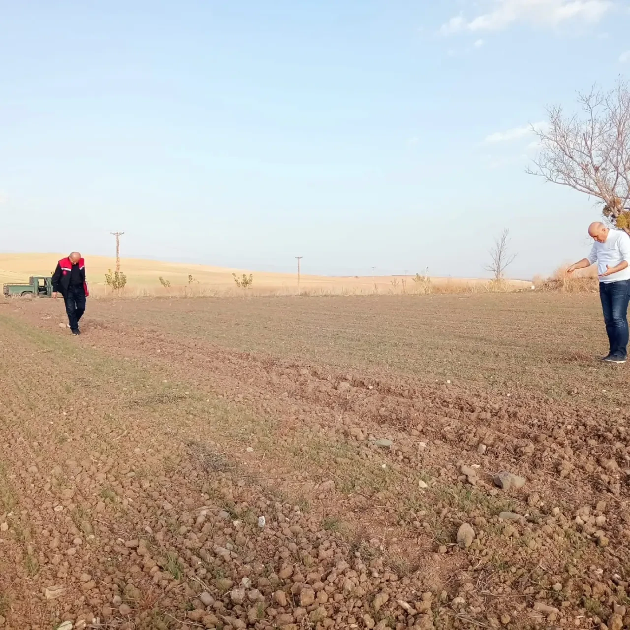 Merzifon’da Planlı Üretim 2