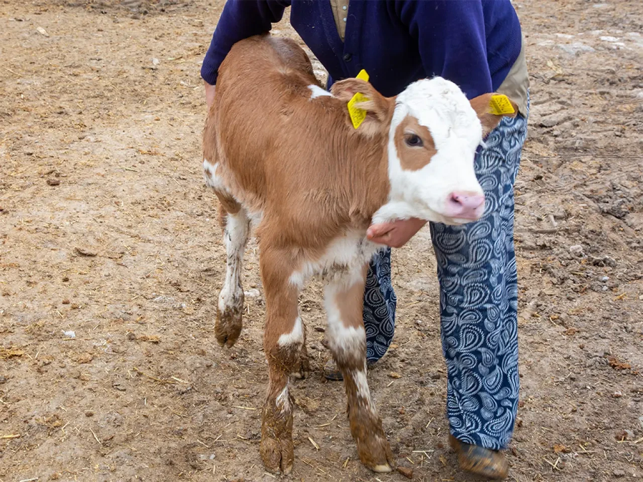 Amasya DSYB’den Aralıksız Çalışma 3