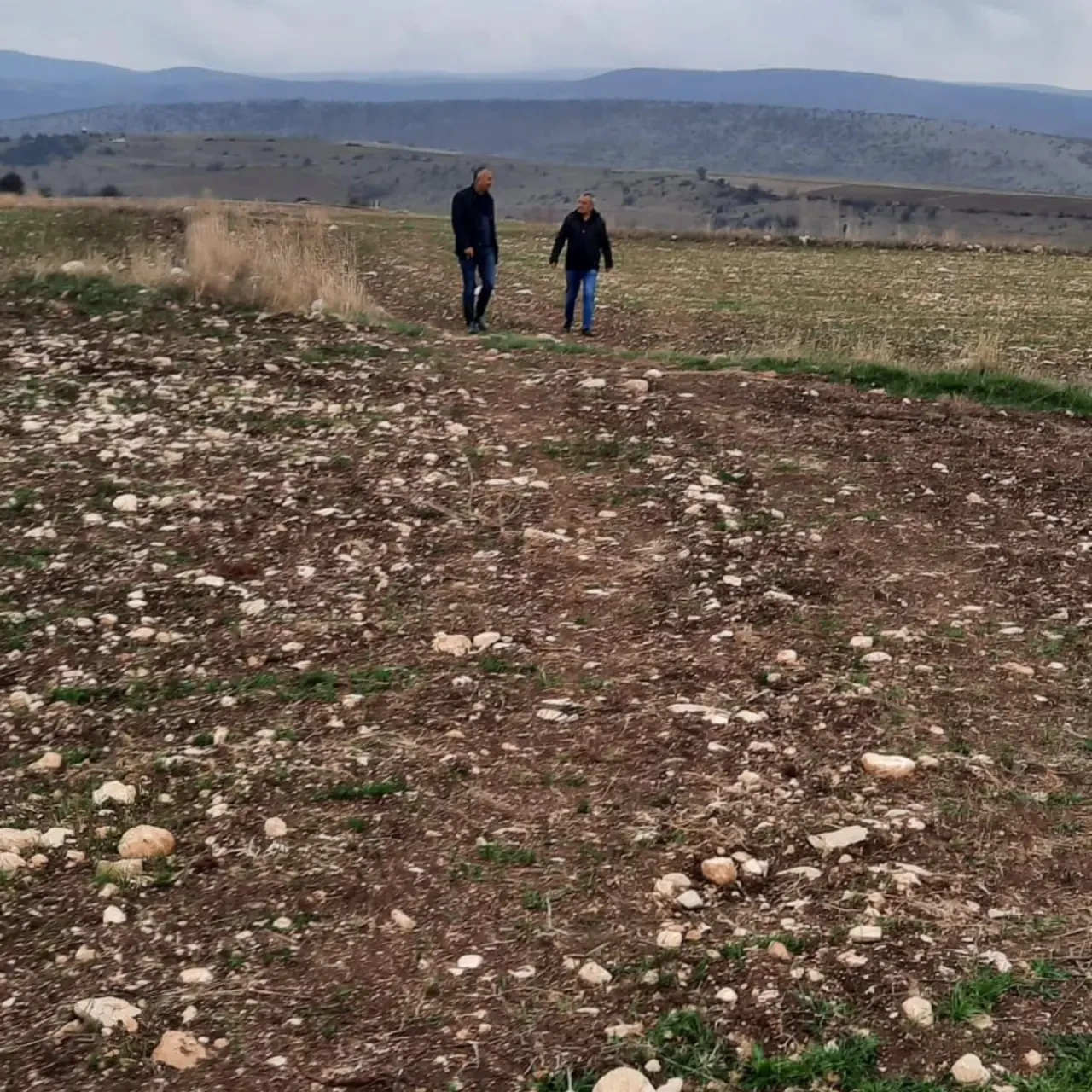 Merzifon’da Planlı Üretim İçin Çalışmalar Sürüyor 3