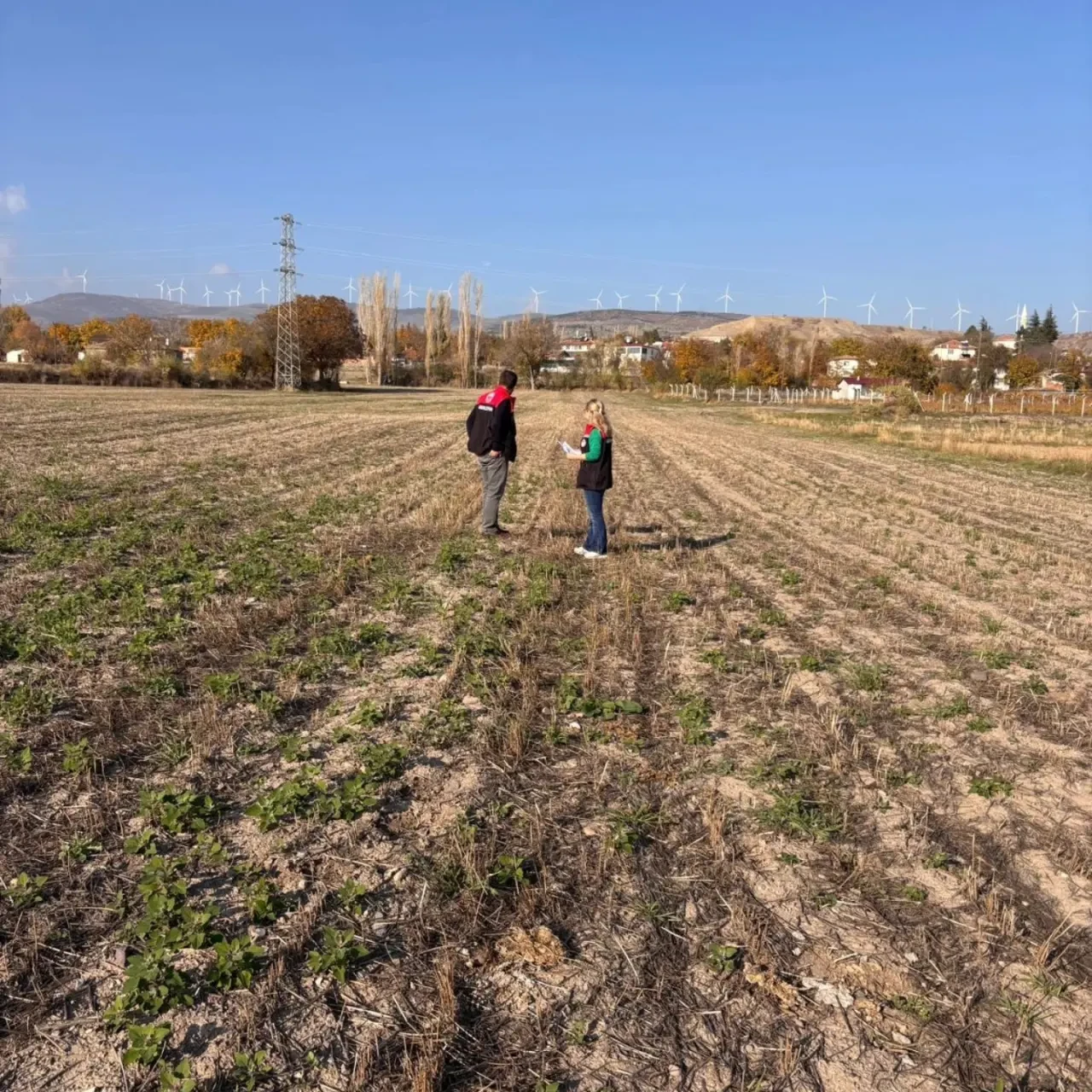 Merzifon’da Planlı Üretim 3