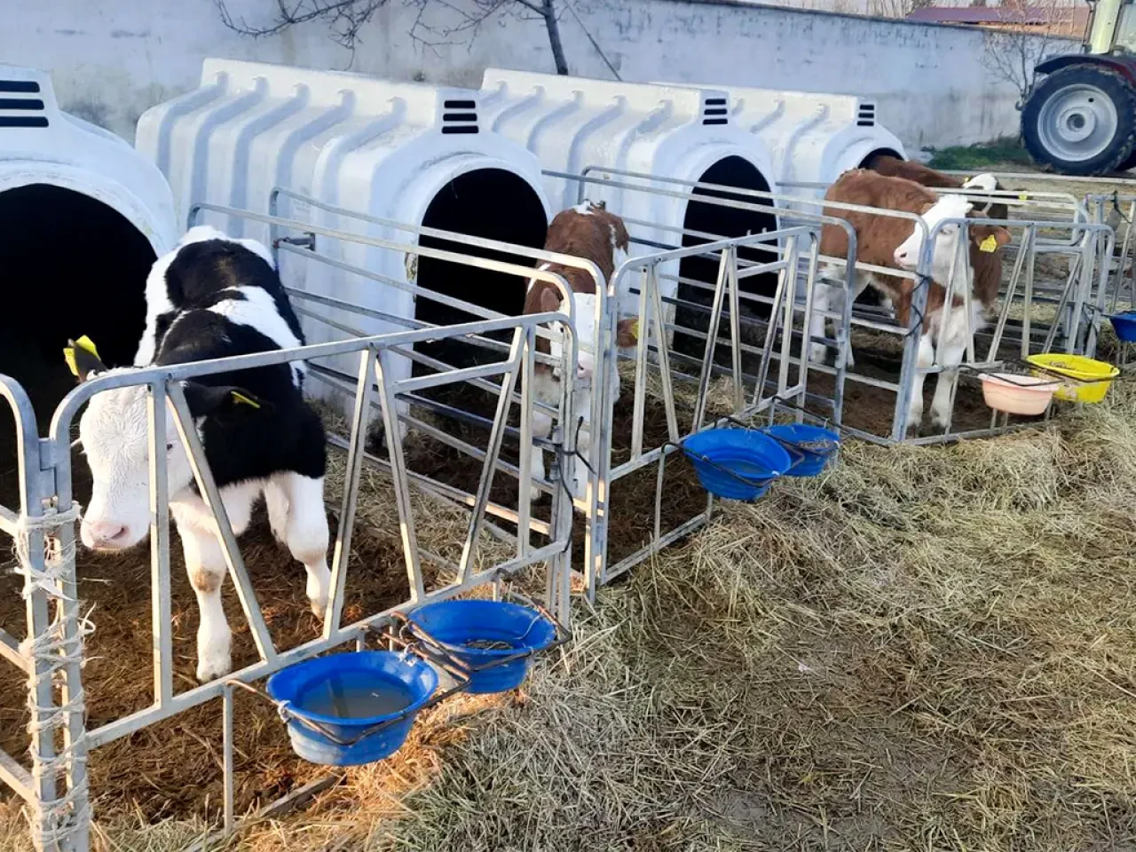 Amasya DSYB’den Aralıksız Çalışma 7