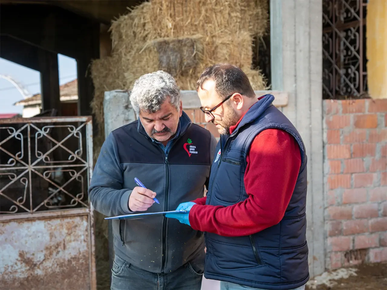 Köyümde Yaşamak İçin Bir Sürü Nedenim Var 1