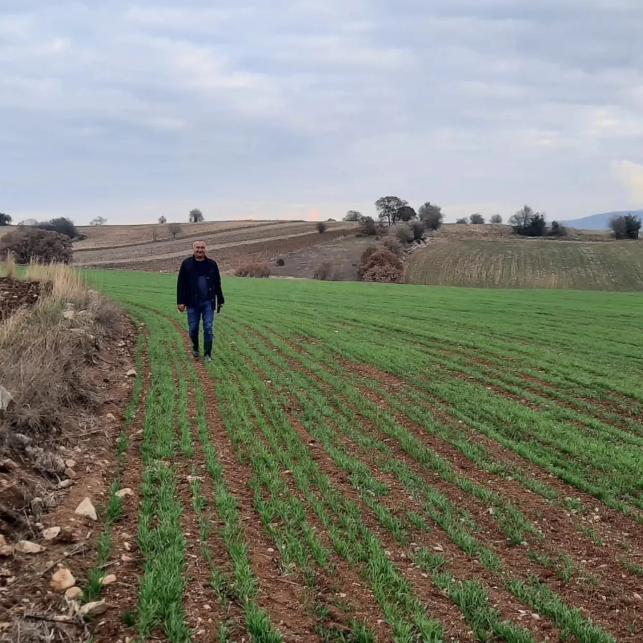 Merzifon’da Planlı Üretim İçin Çalışmalar Sürüyor 4