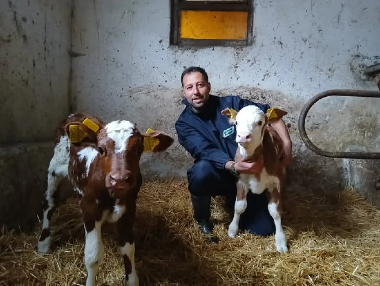 Amasya DSYB’den Suni Tohumlama ve Verim Artışı Çalışmaları 1