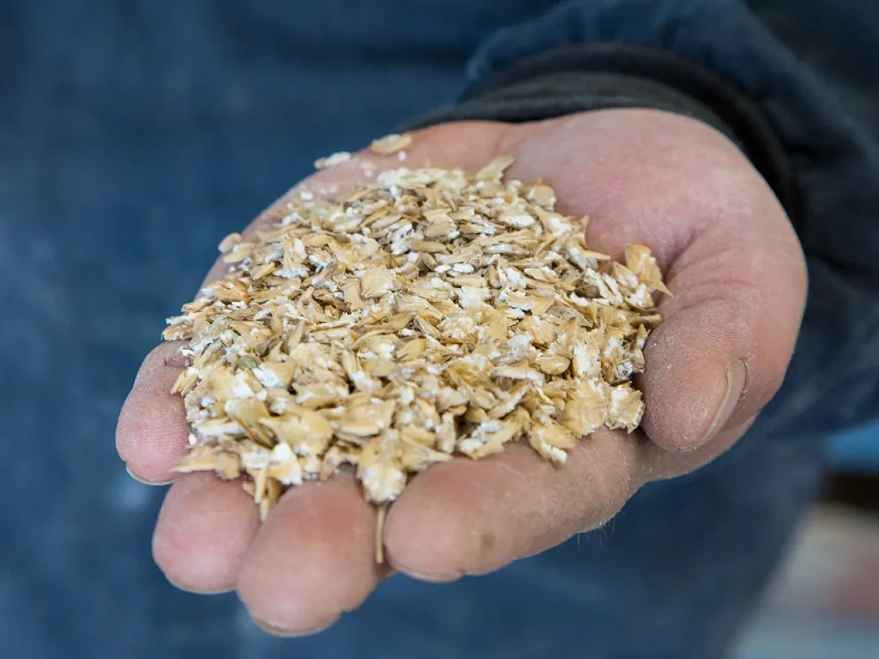 DSYB’den Üreticiye Büyük Destek 4