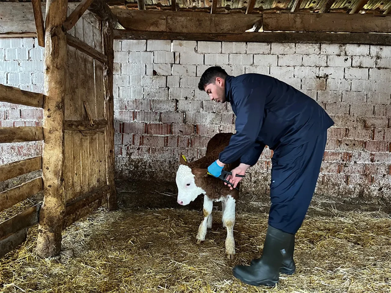Amasya DSYB’den Aralıksız Çalışma 4