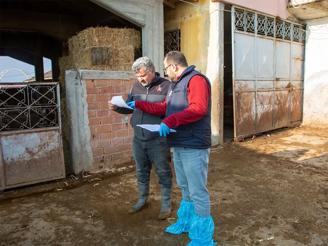 Köyümde Yaşamak İçin Bir Sürü Nedenim Var 3