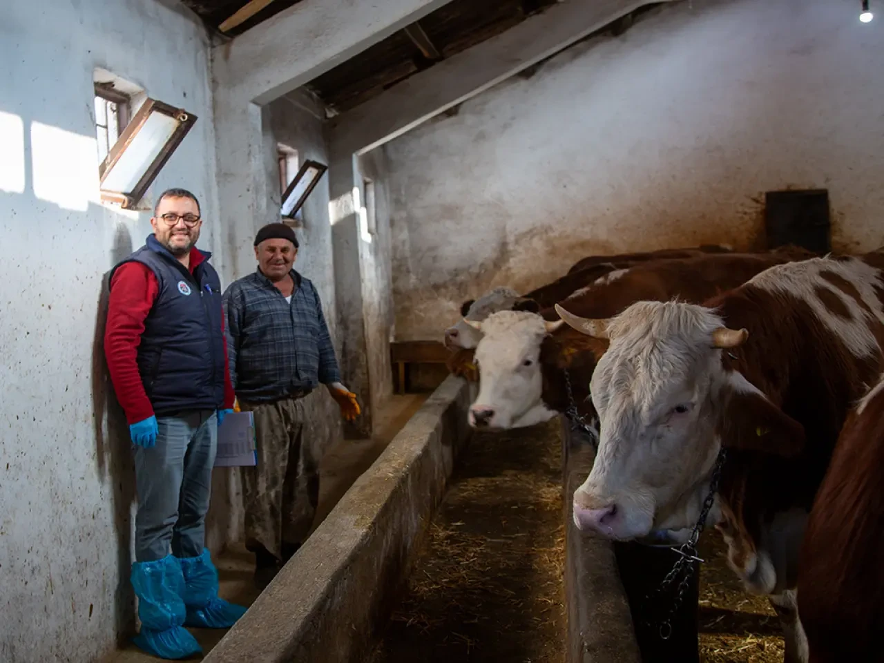 Amasya’da Hayvancılığa Proje Desteği 1
