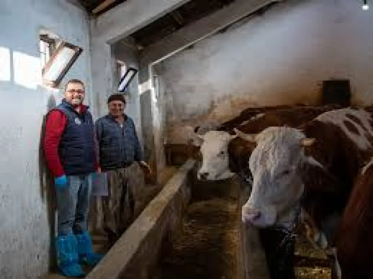 Amasya DSYB’de Üreticiye Destek ve Avantajlar Artıyor 4