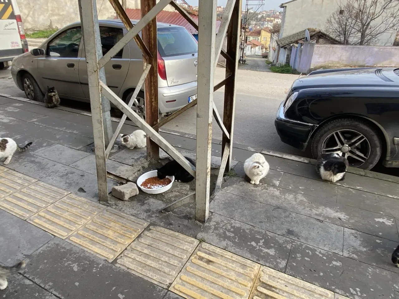 Merzifon’da Sessiz Kahraman! 2