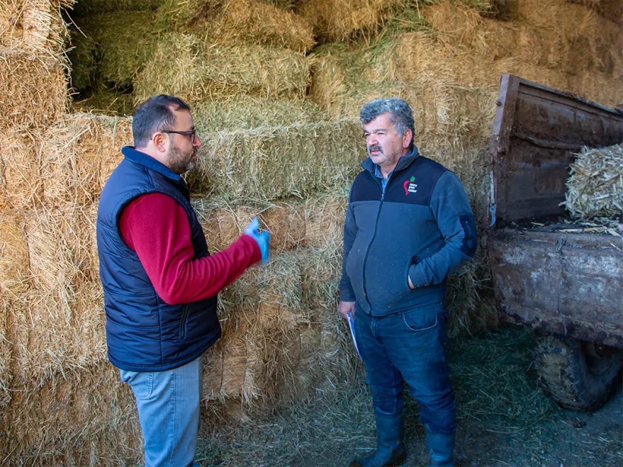 Köyümde Yaşamak İçin Bir Sürü Nedenim Var 2