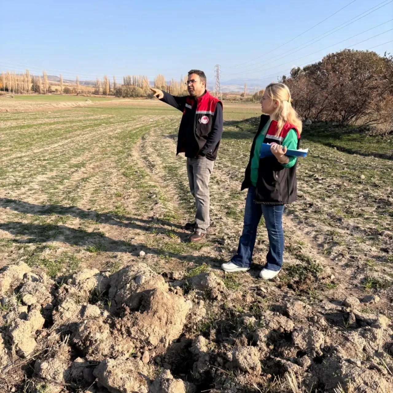 Merzifon’da Planlı Üretim 1