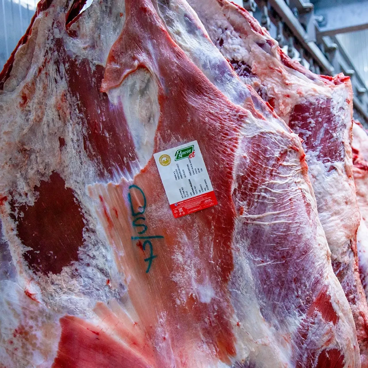 Amasya DSYB ve Amesia Gıda’dan Güvenli Et 2