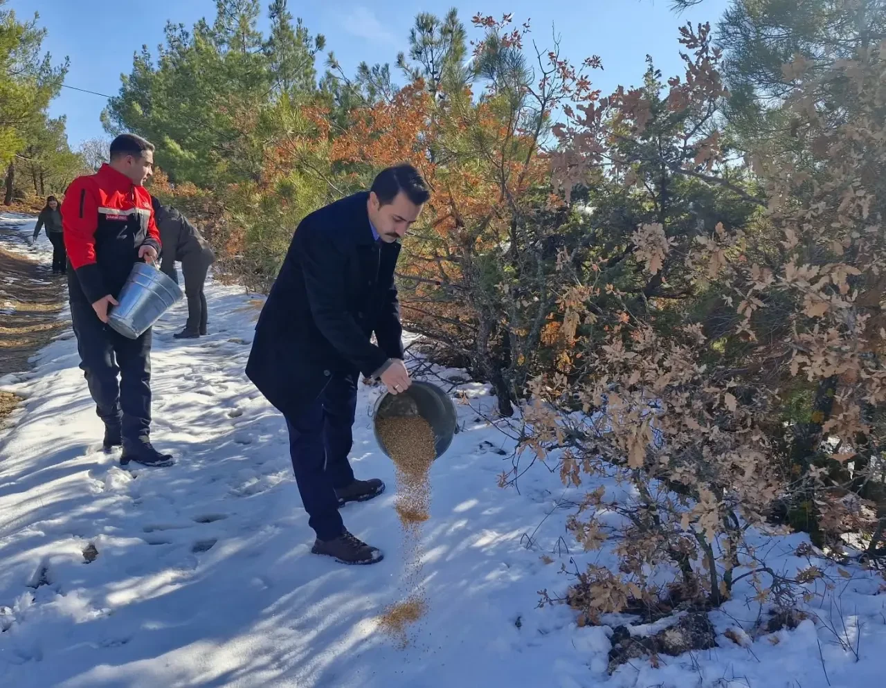 Göynücek’te Yaban Hayvanları Unutulmadı 1
