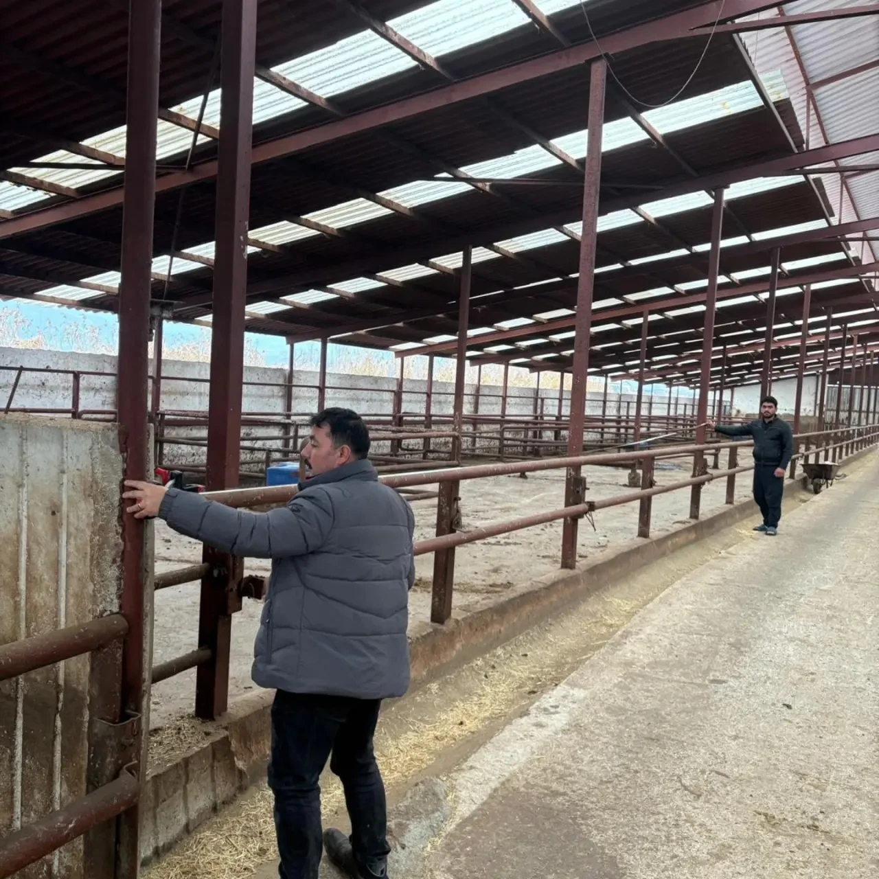 Merzifon’da Besi Tesisleri Mercek Altında 1