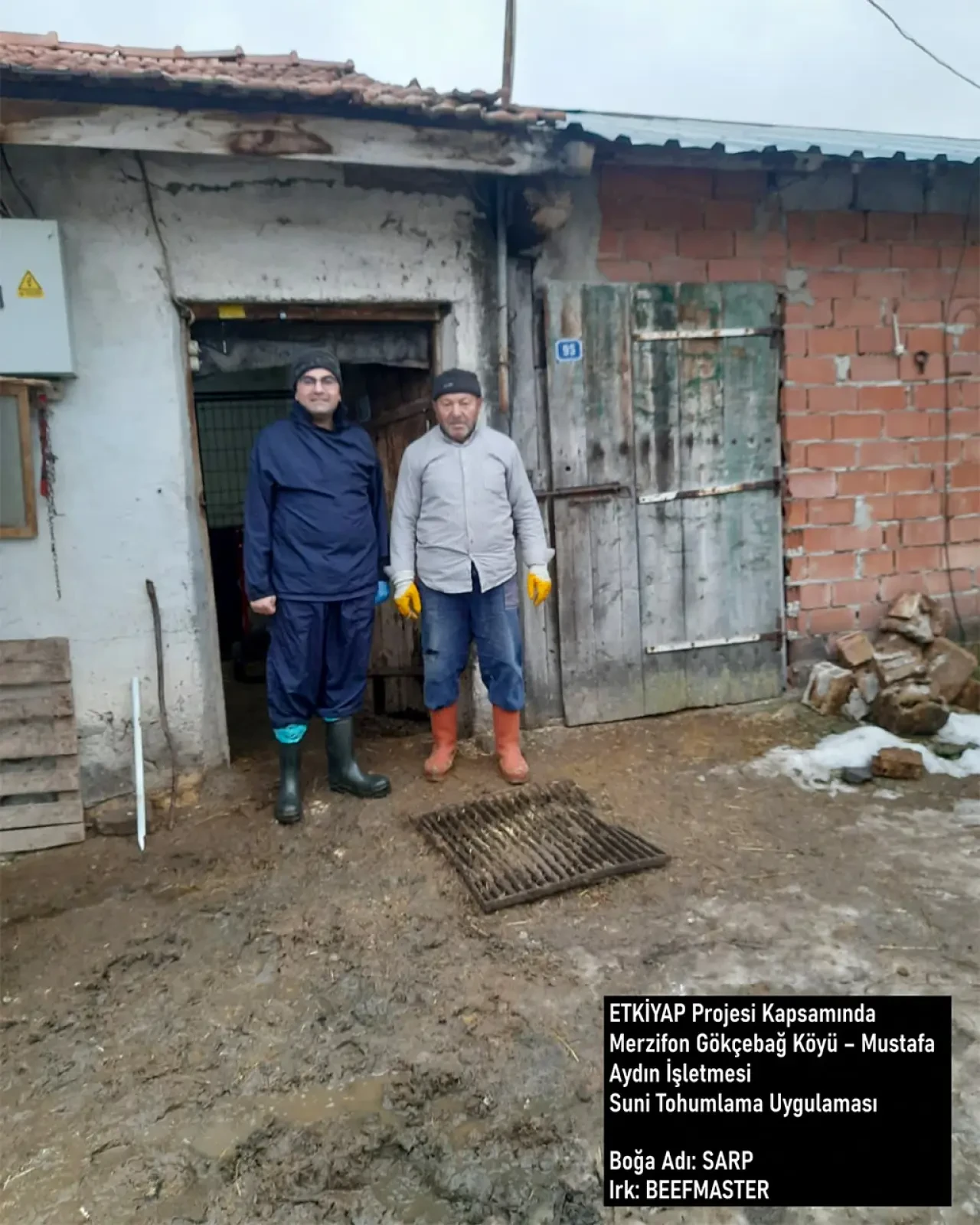 Amasya’da Etçi Üretim Atağı 4