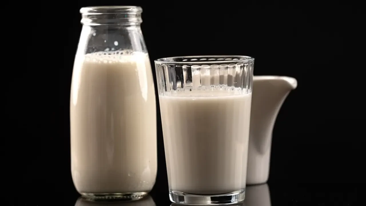 Ne İnek Ne de Manda: En Sağlıklı Süt Sandığınızdan Farklı Çıktı 2