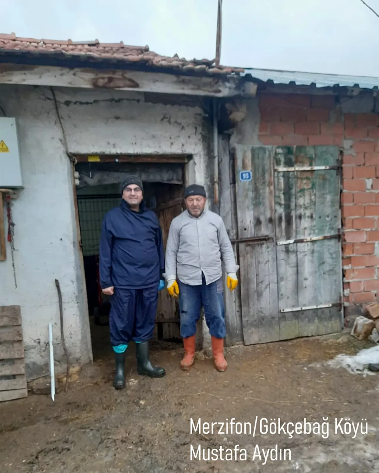 Amasya’da Hayvancılığa Güç Katacak Dev Adım 6