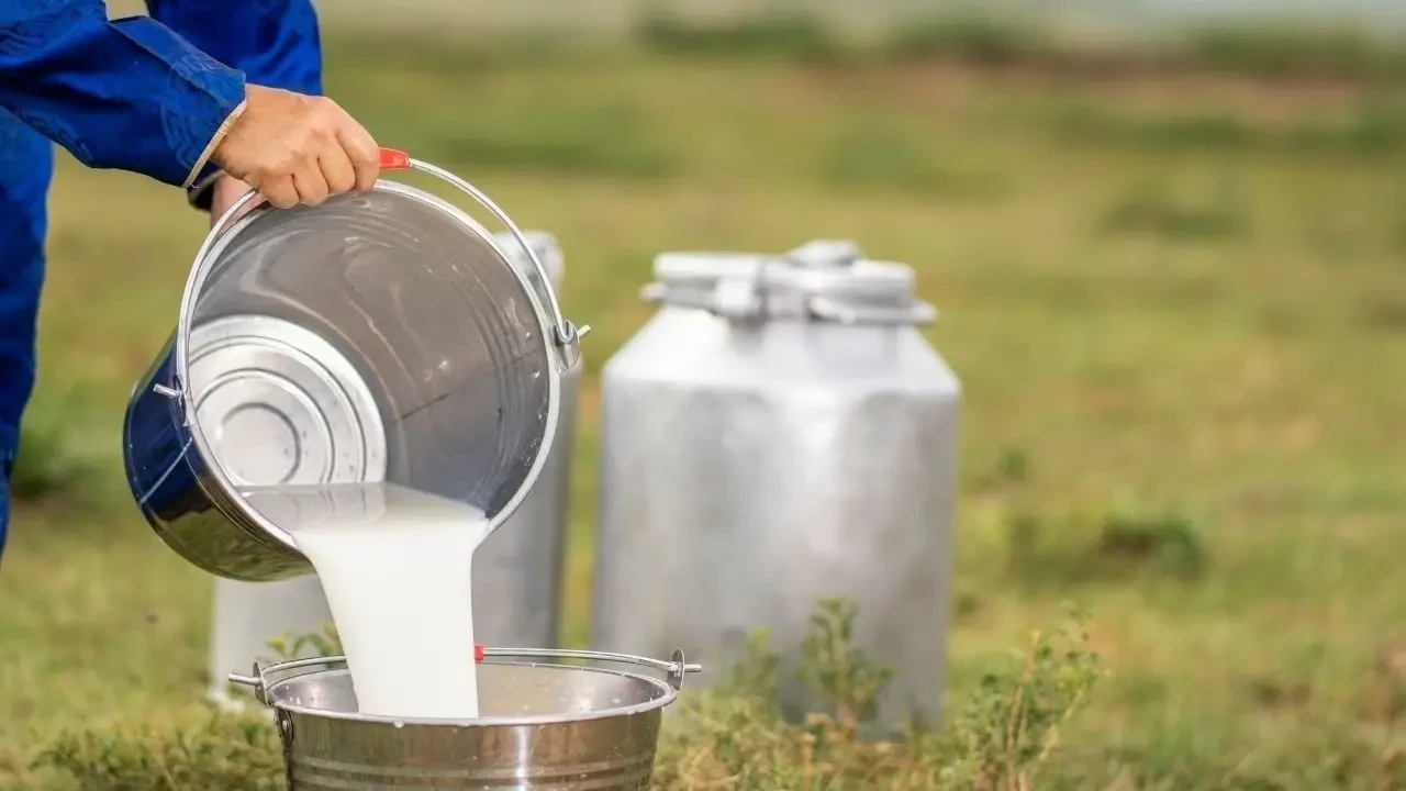Sütte Yeni Tarife Resmen Açıklandı 3