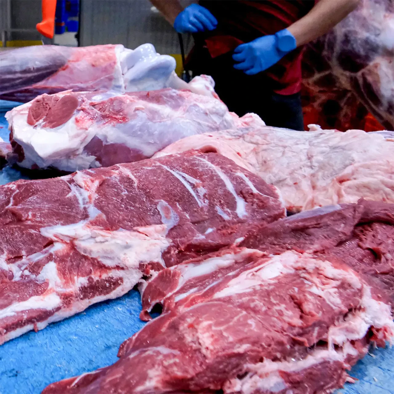 Amasya DSYB ve Amesia Gıda’dan Güvenli Et 4