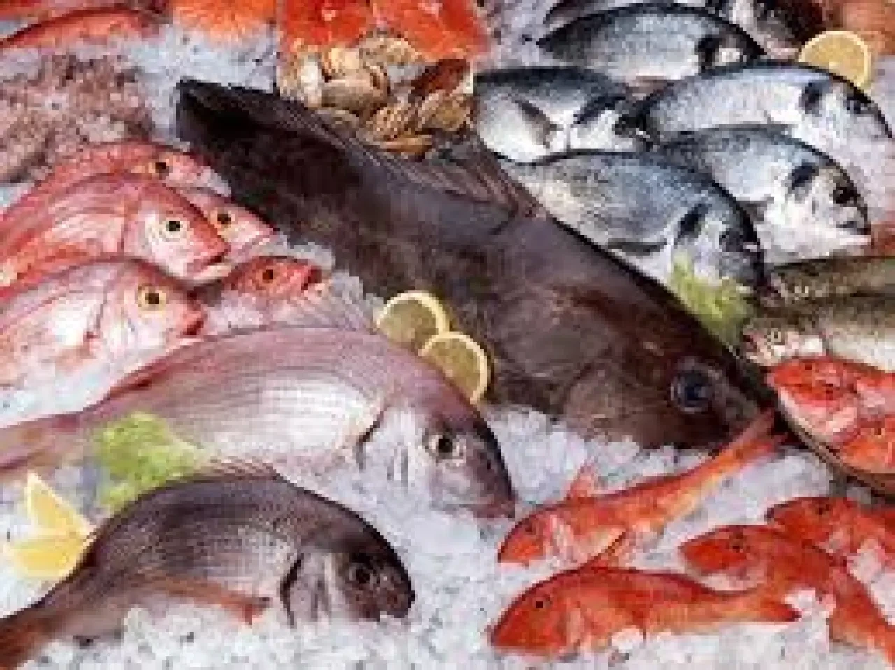 Hangi Balık Nasıl Pişirilir? 4