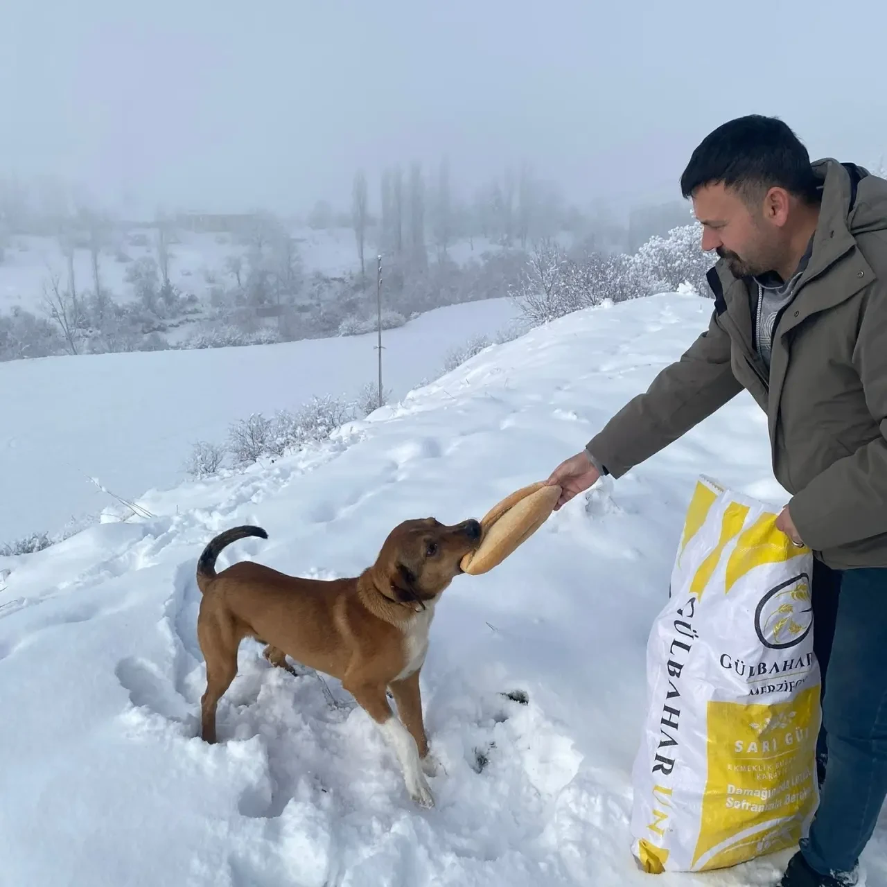 Merzifon’da Doğaya Sahip Çıkan Çalışma 1