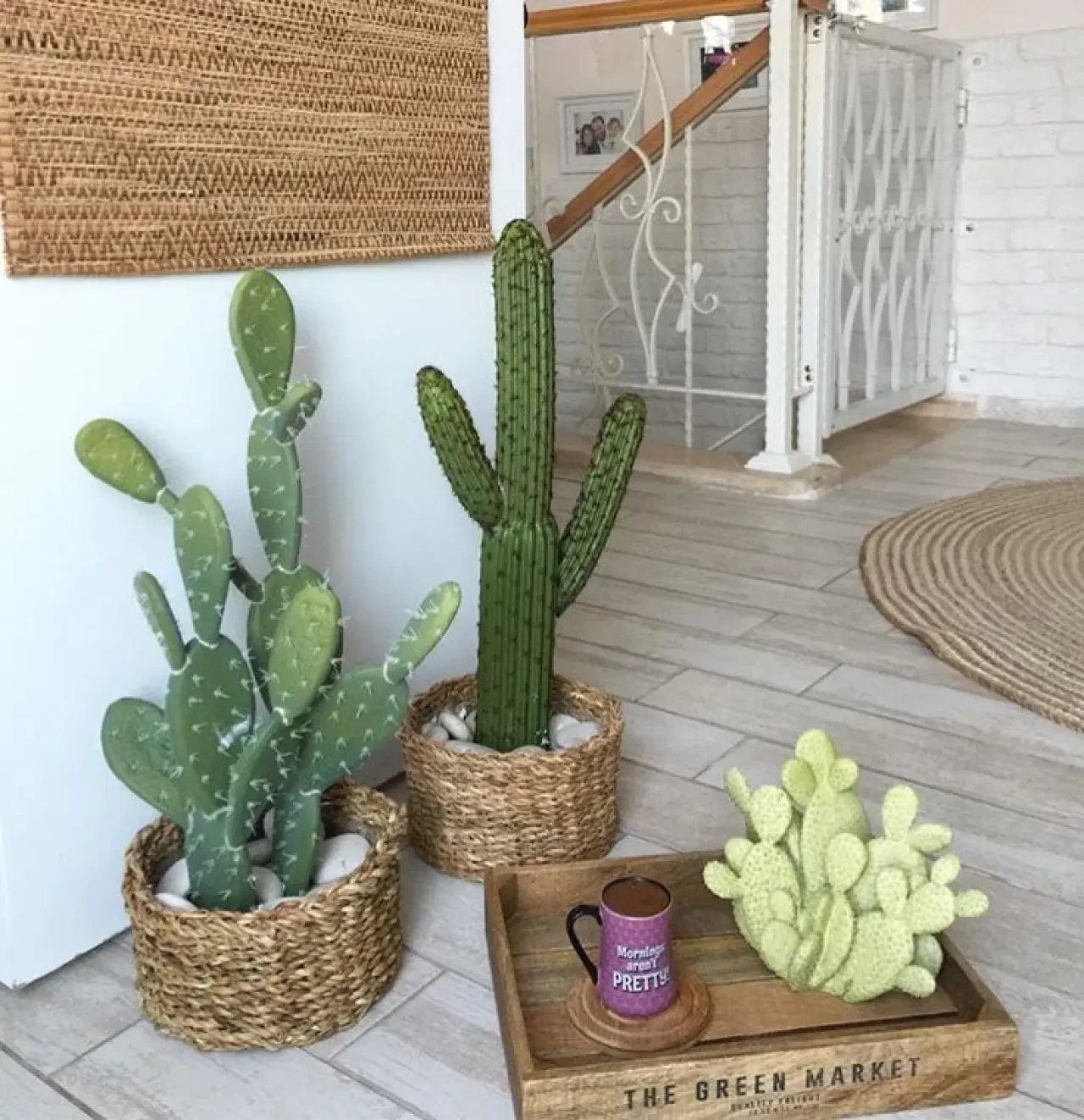 Kaktüs Evde Nereye Konulmalı? Doğru Yerleşimle Hem Şık Hem Sağlıklı 1