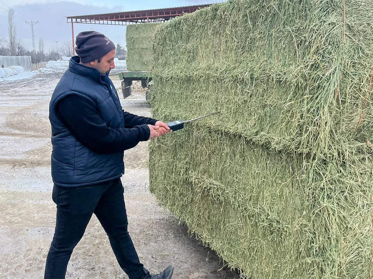 Amasya DSYB’den Üreticiye Destek 3