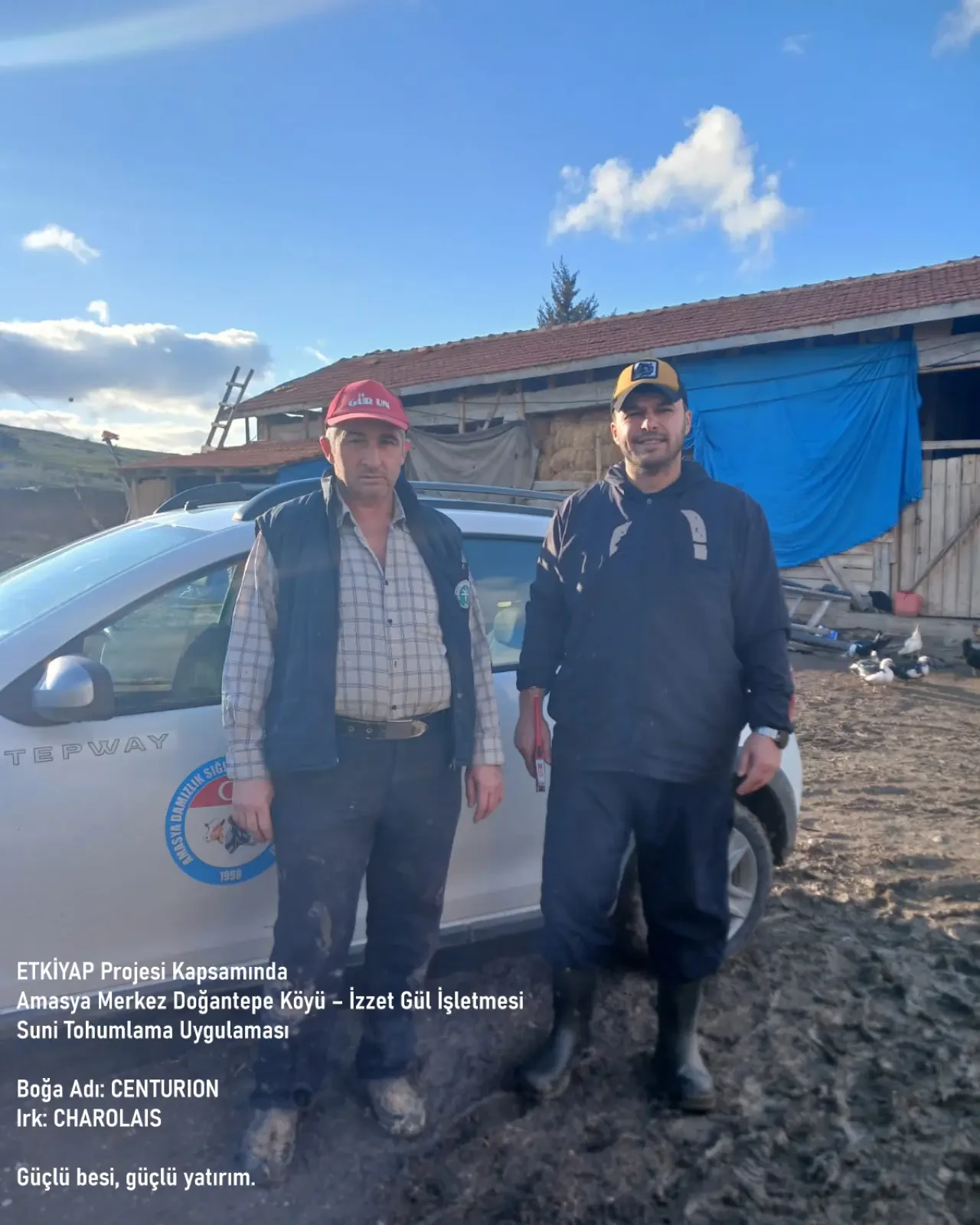 Amasya Hayvancılığında Yeni Dönem 2