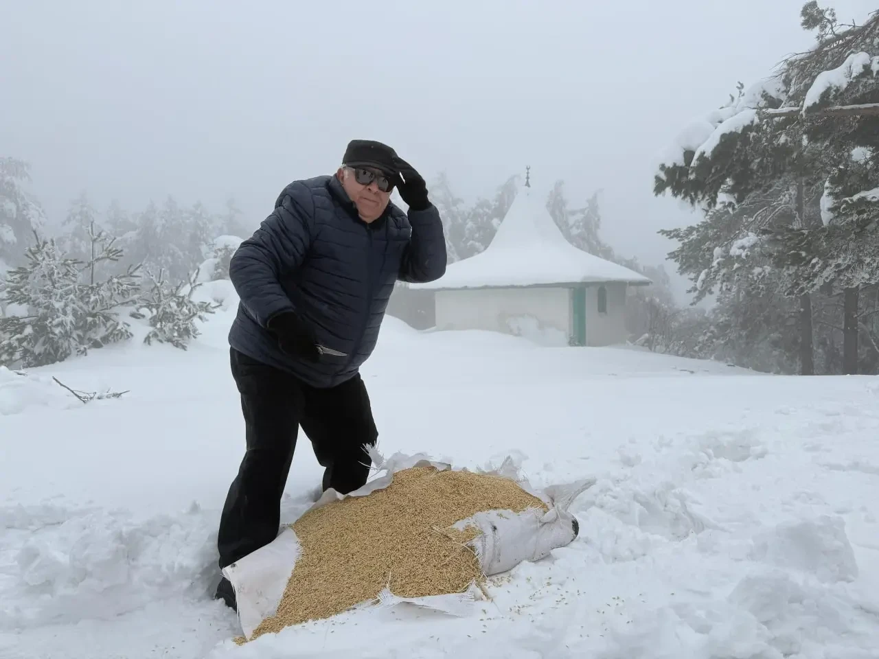 Merzifon Belediyesi’nden Hayvanlara Şefkat 1
