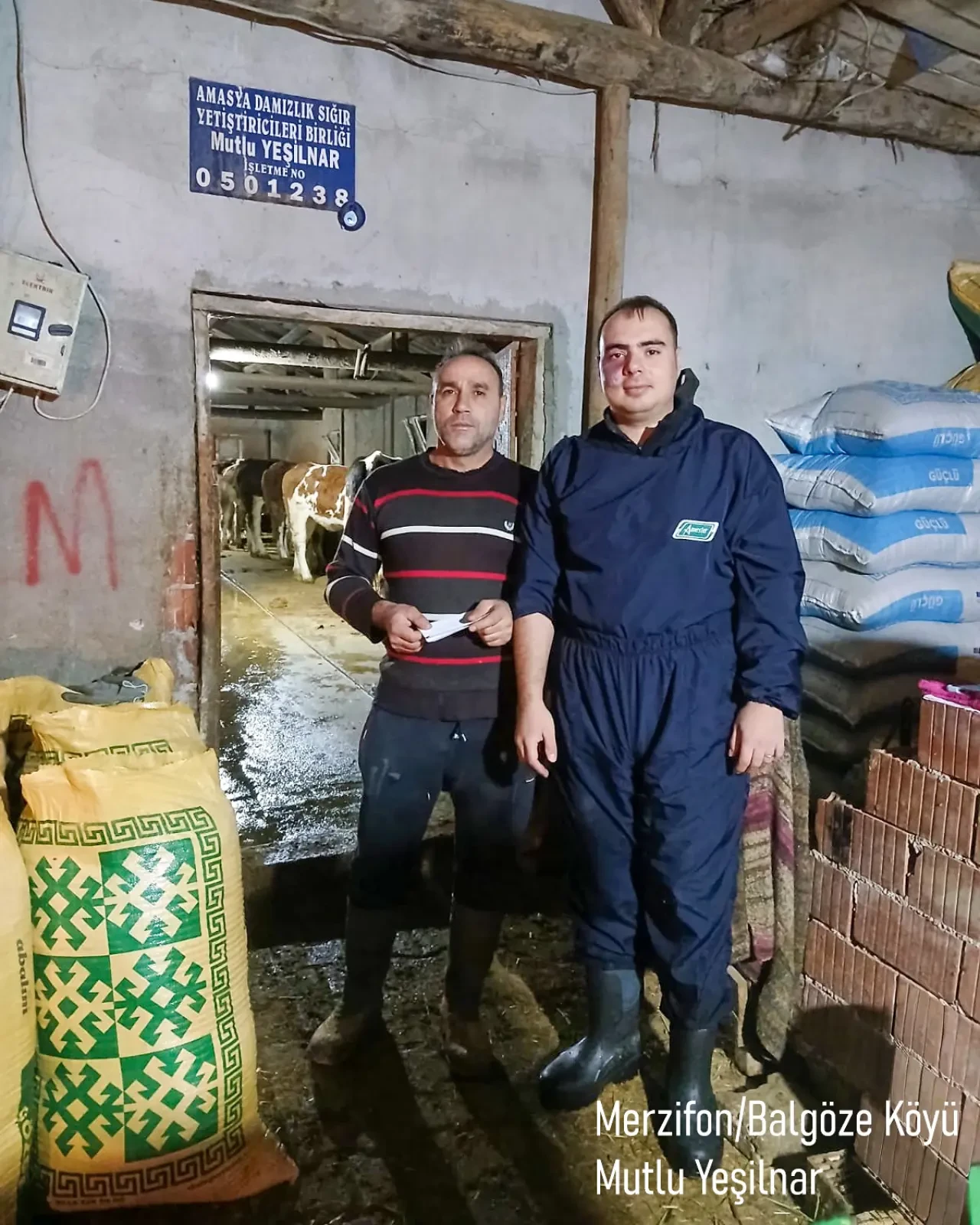 Amasya’da Hayvancılığa Güç Katacak Dev Adım 4