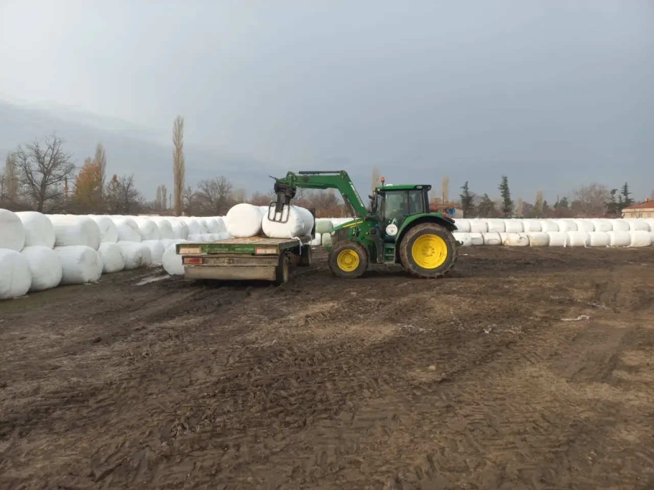 Amasya DSYB’den Üreticiye Kaba Yem Güvencesi 4