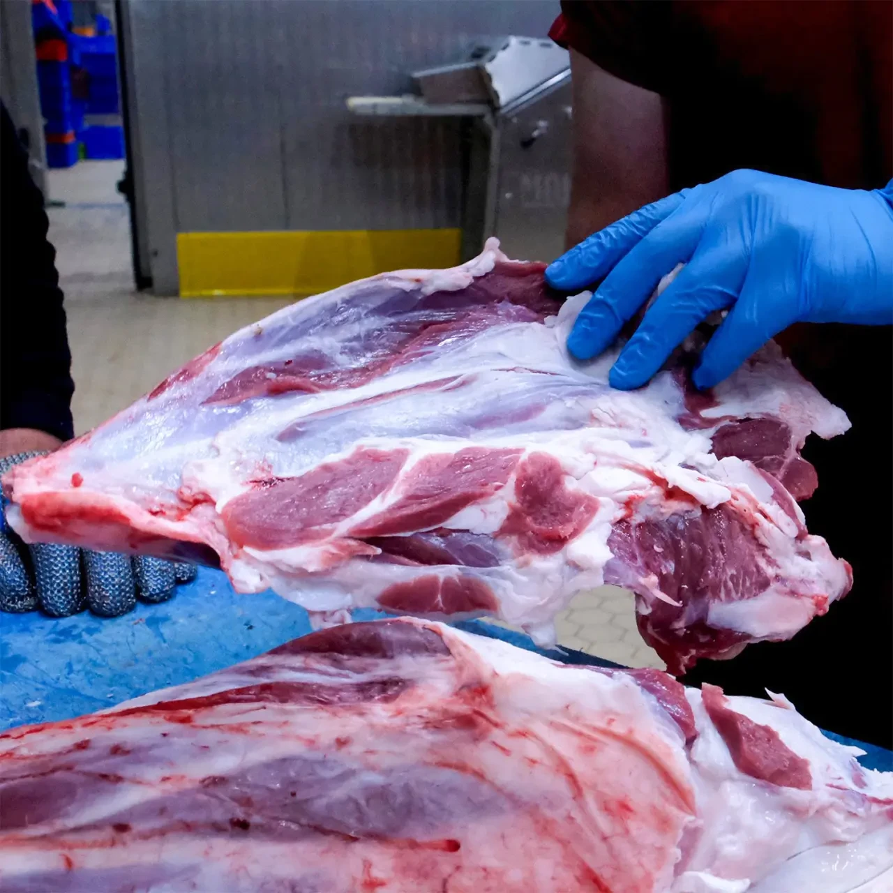 Amasya DSYB ve Amesia Gıda’dan Güvenli Et 3