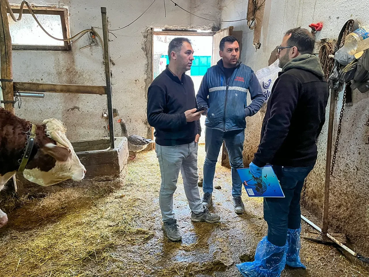 Merzifon’da Hayvancılığa Proje Destekli Güç 3